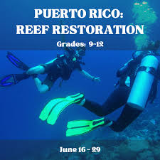 Teen Scuba Adventure Program | PADI Trips for Teens — The Road Less Traveled