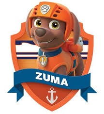 He is a male chocolate labrador pup and the water rescuer of the paw patrol. Zuma Gallery Paw Patrol Wiki Paw Patrol Pups Paw Patrol Birthday Zuma Paw Patrol