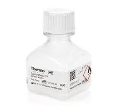 Human growth hormone (gh) is a hormone made by the pituitary gland (the master gland) and plays a huge role in the normal growth and development of children and adolescents as the name implies. Captureselect Human Growth Hormone Affinity Matrix