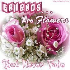 Basket, flowers, friendship, kitten, puppy wallpaper stock photos, background stock photos file easily with one click free hd stock images with high quality. Flower Quotes About Friendship Quotesgram