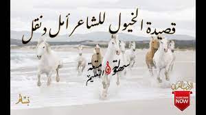 قصيدة الخيول للشاعر أمل دنقل subscribe