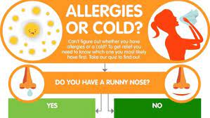 Do You Have Allergies Or A Cold Zyrtec Australia