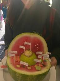 We did not find results for: Pvsea On Twitter Animal And Plant Cell Models By Our Creative Seventh Graders At Pvsea Pvseapta Pvsdcamarillo Https T Co Cppsie8dc7 Twitter
