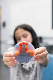 Bio Art Series: The Recap