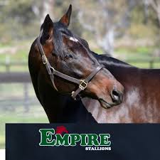 Profile for Empire Stallions