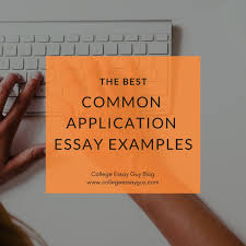 Common app essay writing can be an easy task if you possess specific knowledge regarding this activity. 10 Outstanding Common App Essay Examples Common App Essay College Essay College Essay Examples