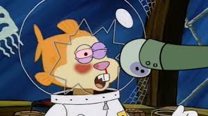 Squidward Punches Sandy Youtube