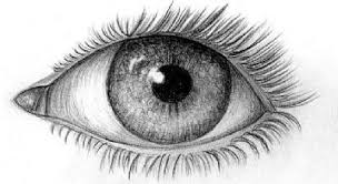 Gozumuzu Her Kirptigimizda Goz Yasi Gozu Yikayarak Duzgun Ve Berrak Bir Yuzey Olusmasini Saglar Net Bir Gorus Ve Rahat Bir Goz I In 2019 Eye Pencil Drawing Drawings Eye Sketch