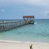 Shaz resort pulau tinggi ⭐ , malaysia, johor, pulau tinggi, lot 44, kampung penaga: 1