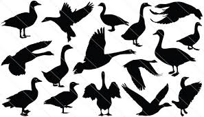 Black And White Goose Silhouette Goose Silhouette Vector Graphics Download Goose Vectors Silhouette Vector Silhouette Clip Art Vector Graphics