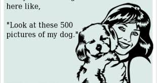 Is It Hot In Here Or Is It Just Me I M So High In Here Pin By Miki Hodge On Brody The Beagle Funny Dogs Just For Laughs