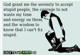 You Can T Fix Stupid Lol Stupid People Quotes Stupid Quotes Friendship Quotes Funny