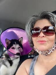 Hunter had an OOF at the park today... ** I promise he's ok! He didn't yelp  when it happened and he's acting totally normal since. 😁