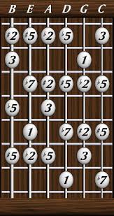 Daves Six String Bass Resource Page Scales The Melodic