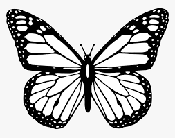 Choose from over a million free vectors, clipart graphics, vector art images, design templates, and illustrations created by artists worldwide! Pin By Leah On à¸£ à¸²à¸™ Butterfly Clip Art Butterfly Drawing Butterfly Coloring Page