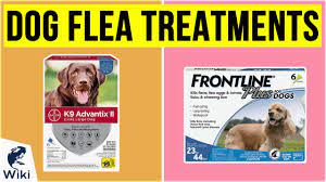 Top 10 Dog Flea Treatments Of 2020 Video Review