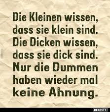 Pin Auf Dumme Spruche