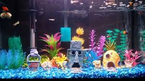 Our Very Own Bikini Bottom Fish Tank My Son Is A Huge Fan Of Spongebob Squarepants So I Thought Spongebob Fish Tank Fish Tank Themes Fish Aquarium Decorations