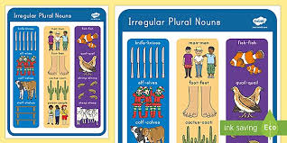 A cactus (plural cacti, cactuses, or less commonly, cactus) is a member of the plant family cactaceae, a family comprising about 127 genera with some 1750 known species of the order. Second Grade Irregular Plural Nouns Poster Teacher Made
