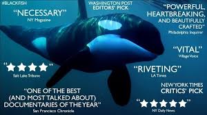 Granny L Orque De 103 Ans Qui Fait Trembler Seaworld