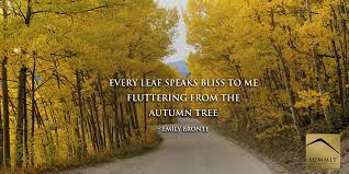 Stay up to date on the latest stock price, chart, news, analysis, fundamentals, trading and investment tools. Aspen Leaves Quote By Emily Bronte Aspen Leaf Emily Bronte Country Roads