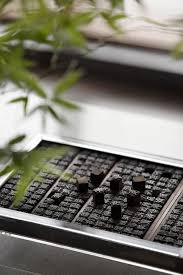 以自由散漫的笔法演绎 东方风骨 矩阵纵横 建e室内设计网 设计案例 bose speaker soundlink mini mini speaker