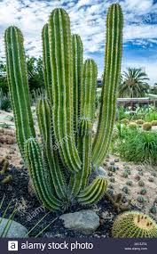 Enjoy a round of golf amid a coastal mountain range, an indulgent afternoon in the yhi spa, or take part in one the life enriching. B C S Stockfotos Und Bilder Kaufen Alamy