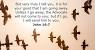 2 Corinthians 1 3 4