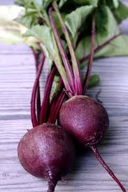 We did not find results for: How To Grow Beets Growing Beets Garden Beets Beet Plants