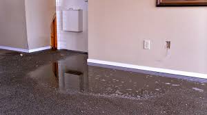 How To React When Carpet Is Damaged With Water Damage Restoration Water Damage