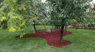 We did not find results for: 59 Diy Landscaping Ideas And Tips To Improve Your Outdoor Space Mulch Landscaping Diy Landscaping Landscaping Around Trees