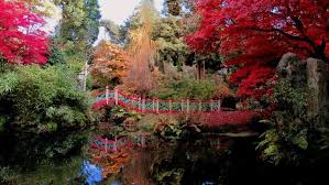 Pin On Landscape Photography