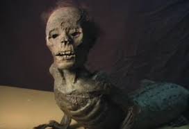 Check spelling or type a new query. Meeting Jake The Alligator Man Multimedia Chinookobserver Com