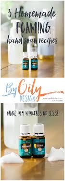Pair that with the fact that it's diy {organic} foaming castile hand soap. These 3 Amazingly Simple Foaming Hand Soap Recipes Will Have You Clean In No Time By Oily Design