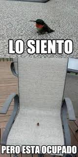 Lo Siento Pero Esta Ocupado Memes De Animales Divertidos Memes Divertidos Chistes De Animales