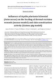 Image result for Aspilia pluriseta