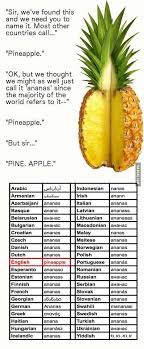 The Word Ananas Pineapple Funny Memes Funny Pictures