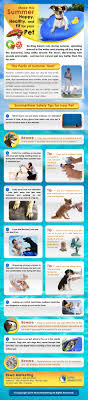Our goal is to provide you and your pets with the best veterinary experience possible. Make This Summer Happy Healthy And Fit For Your Pet Veterinary Infographics