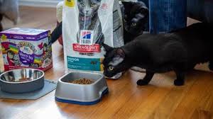 Are you searching for healthy cat food but even affordable in the price? The Best Dry Cat Food Chicago Tribune