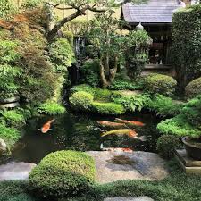 Polubienia 560 Komentarze 9 Garden Koi Nature Koi Society Na Instagramie How Beautiful Koi Pond Backyard Small Japanese Garden Garden Pond Design