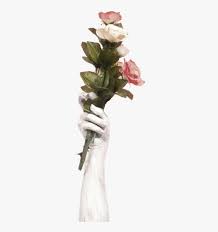 Check spelling or type a new query. Rose Flower Hand Hold Aesthetic Hand Hold Flower Png Transparent Png Kindpng