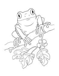 Discover thanksgiving coloring pages that include fun images of turkeys, pilgrims, and food that your kids will love to color. Dibujo De Un Coqui Colouring Pages Frog Coloring Pages Animal Coloring Pages Coloring Pages