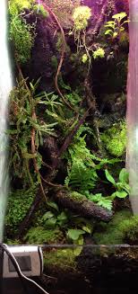 Pin En Vivariums