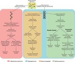 Cystic fibrosis (cf) is a multisystem hereditary disease that mainly affects the lungs and digestive system, causing progressive disability and for some, early death. The Lung And Gut Microbiome What Has To Be Taken Into Consideration For Cystic Fibrosis Journal Of Cystic Fibrosis