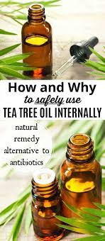 How Why To Safely Use Tea Tree Oil Internally Antibiotic Alternative Tea Tree Essential Oil Tea Tree Oil Essential Oils Aromatherapy