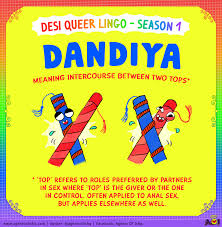 Desi Queer Lingo - Season 1 — Agents of Ishq