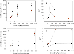 Image result for Vernonia suprafastigiata