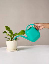 Pin By Dody Aljdani On Drawing In 2021 Watering Can Plastic Watering Can Low Light Indoor Plants