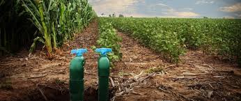 Department of agriculture forecasts a net income of $81,200 for all farmers the same year, while the bureau of labor statistics reported average salaries of $73,210 for farmers in 2013. Quenching Cotton S Thirst Reducing The Use Of Water In The Cotton Lifecycle