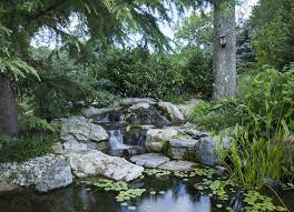 Diese website benutzt cookies, die für. Wassergarten Anlegen Tipps Und Ideen Fur Wasserspiele